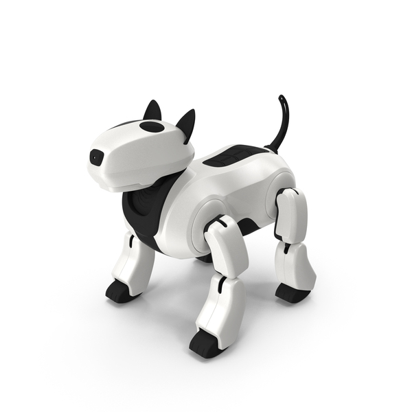 Robot Dog